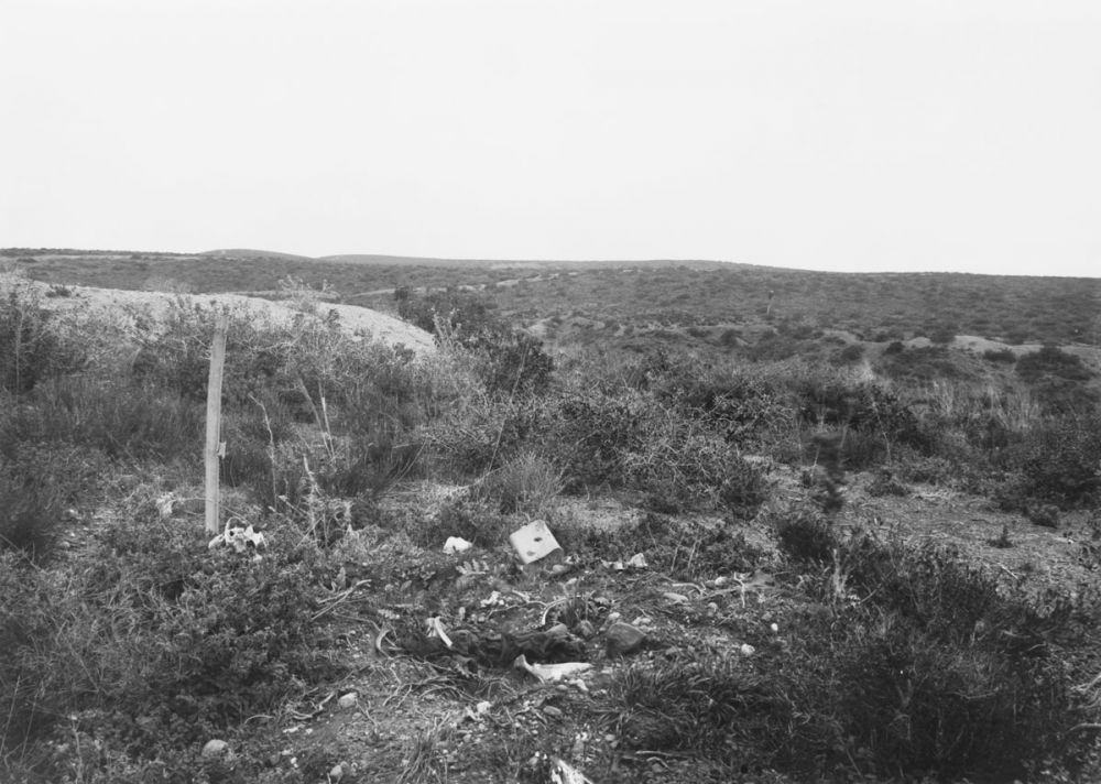 Bones and equipment of soldiers on Baby 700, looking towards Battleship Hill in early 1919.